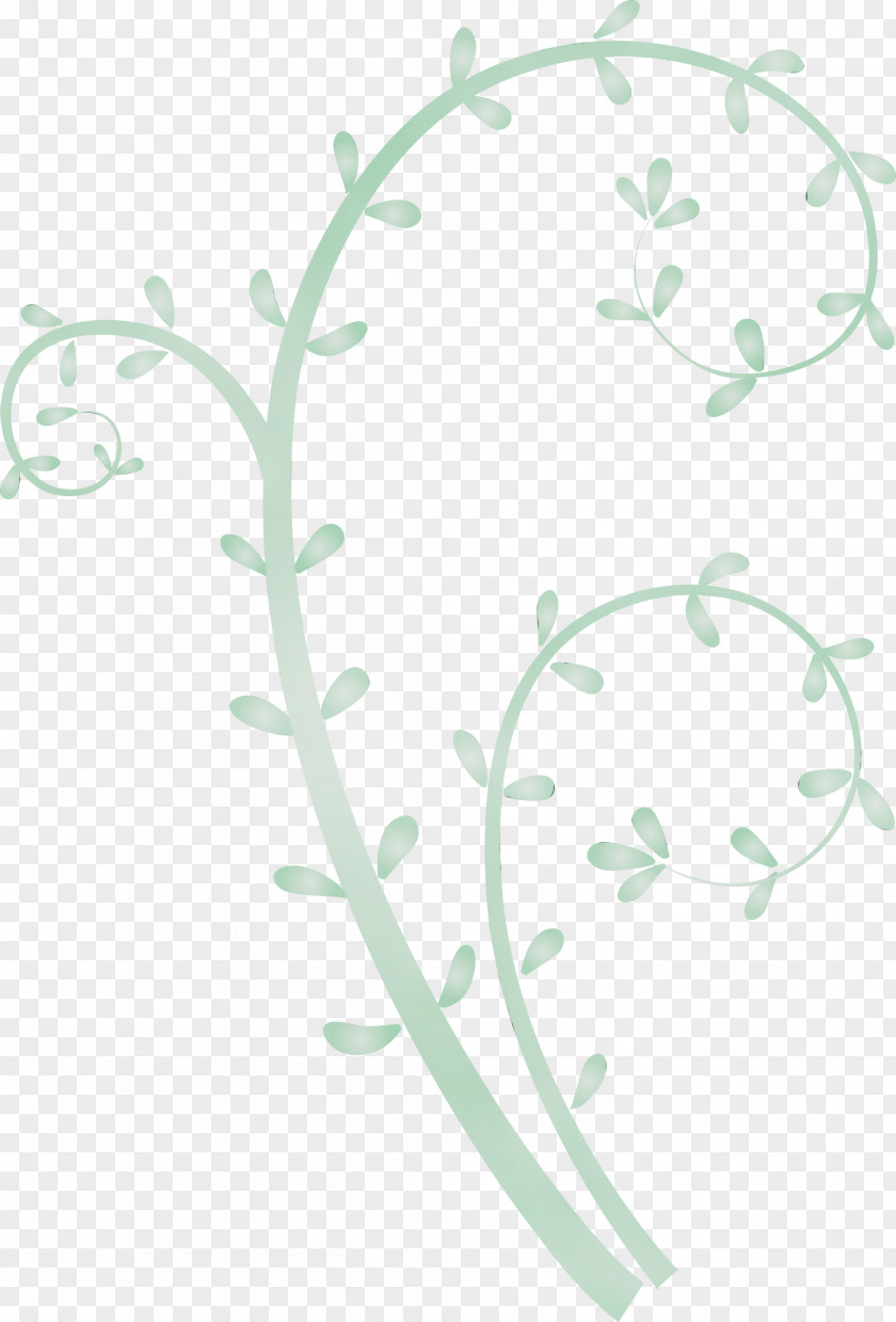 Leaf Plant Flower Pedicel Stem PNG