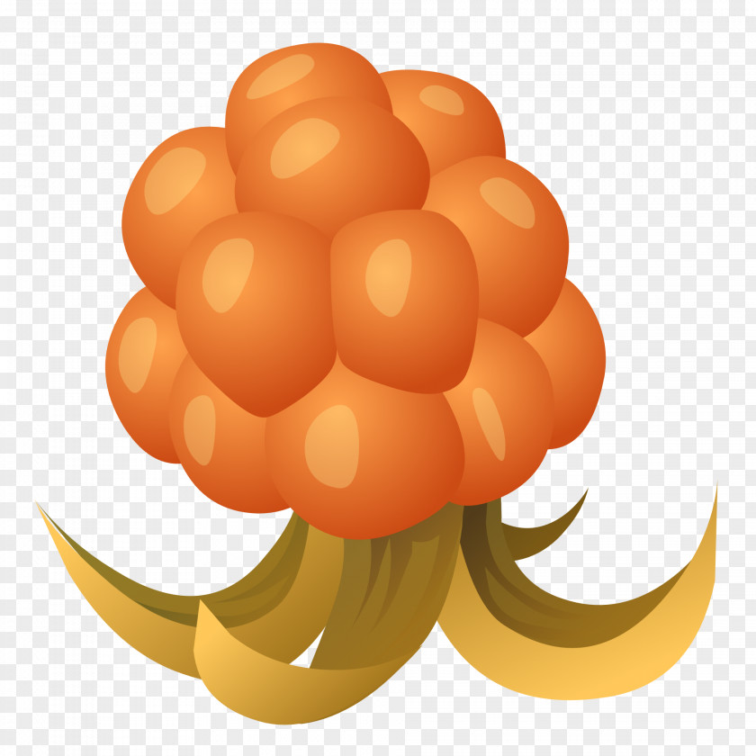 Orange Cloudberry Drawing Clip Art PNG