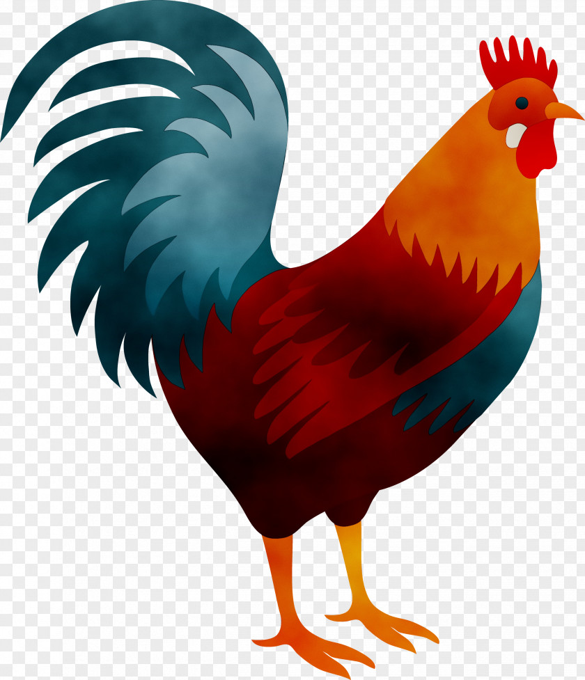 Rooster Chicken David Harley's Son Mug PNG