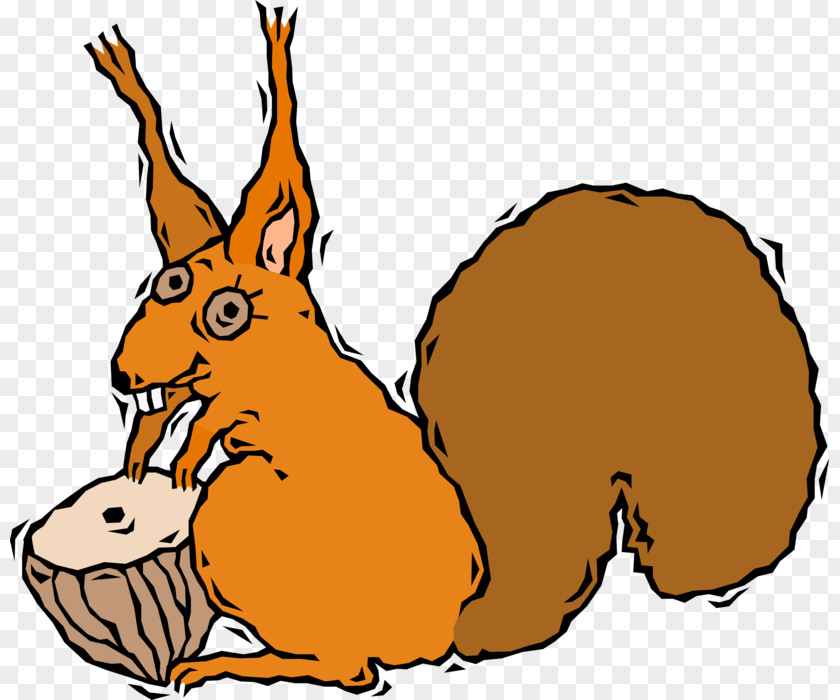 Squirrel Canidae Hare Clip Art PNG