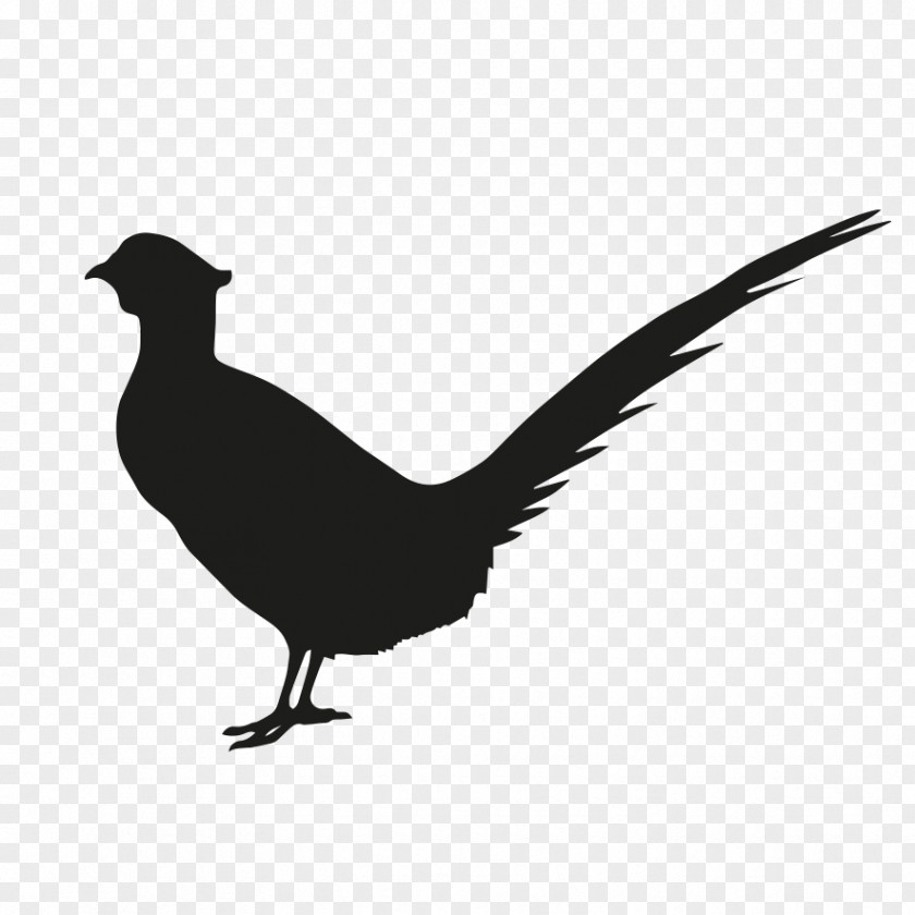 Wing Black Grouse Bird Silhouette PNG