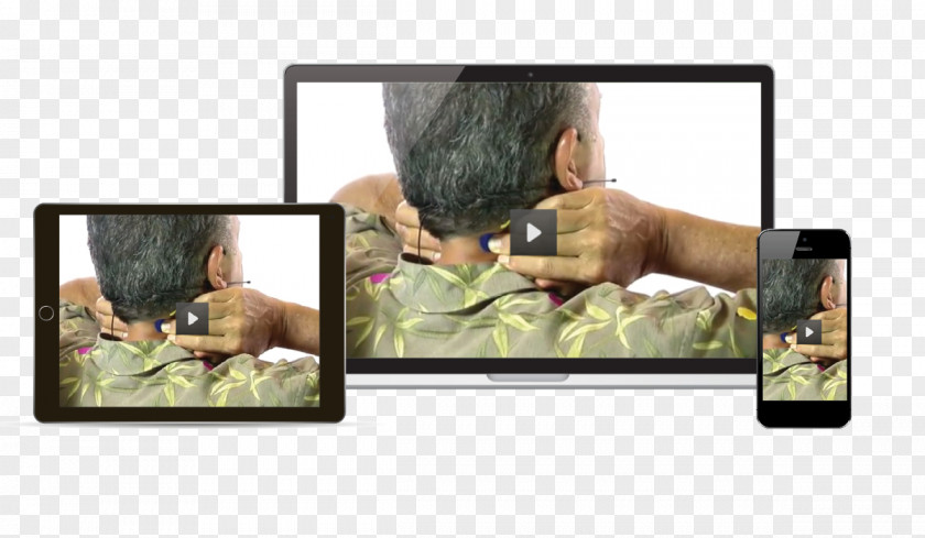 Acupressure Television Video Picture Frames Multimedia Animal PNG