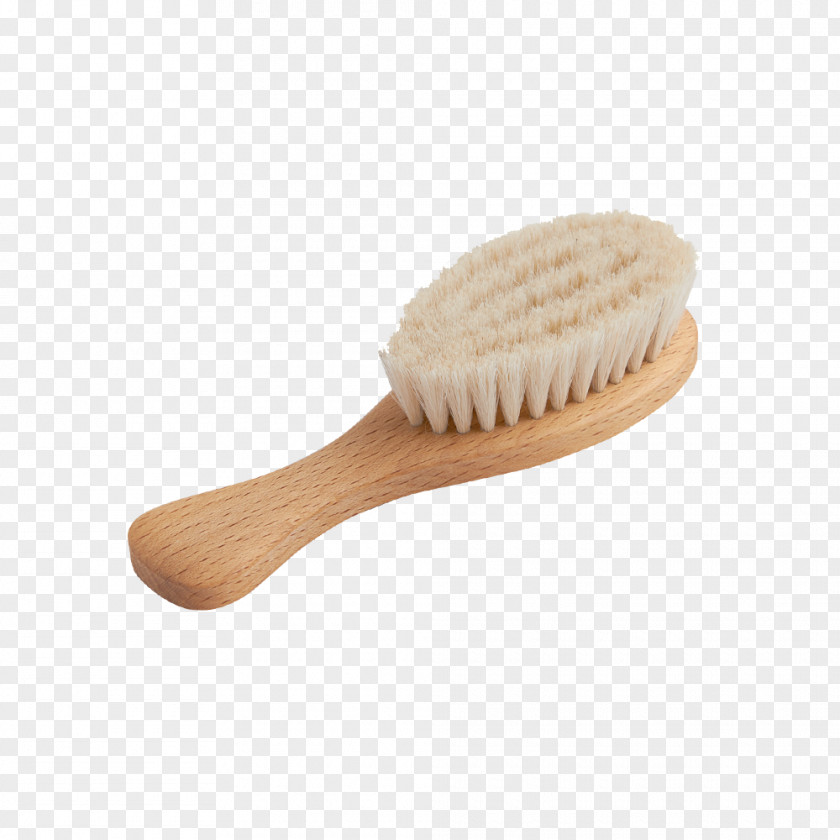 Brushing Comb Hairbrush Bristle Infant PNG