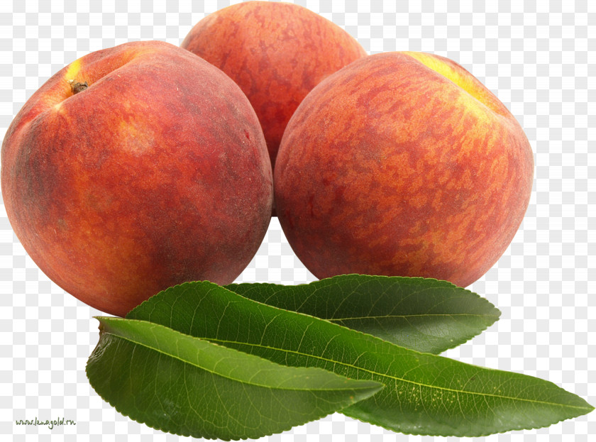 Cherry Fruit Nectarine Food PNG