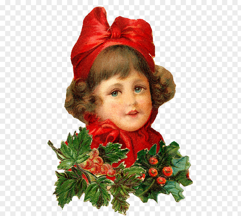 Costume Christmas Decoration Poinsettia PNG