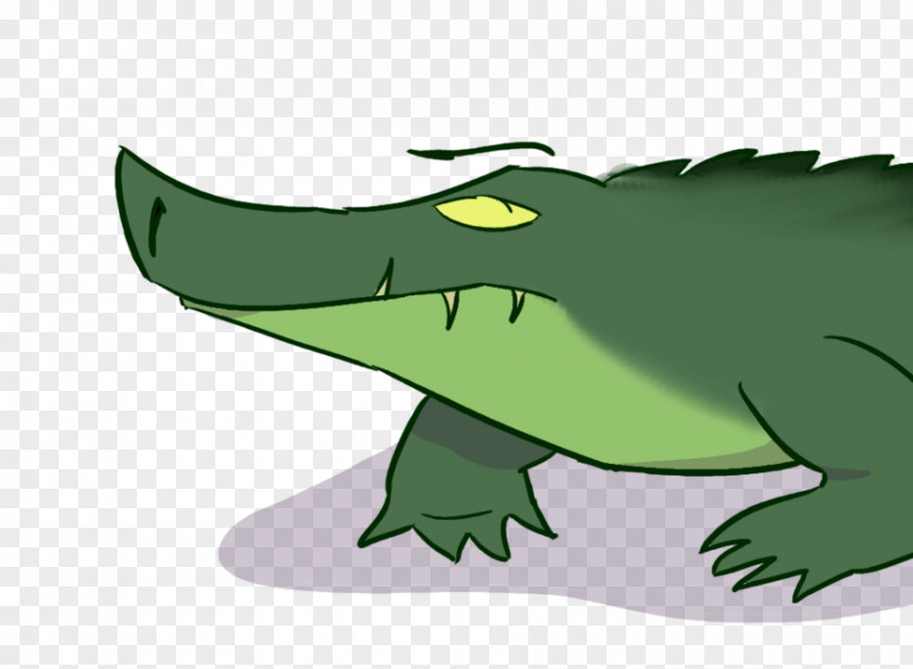 Crocodile Alligators Frog Cartoon Green PNG