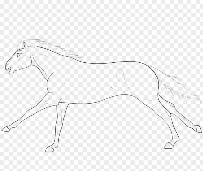 Mustang Mane Foal Stallion Pony PNG