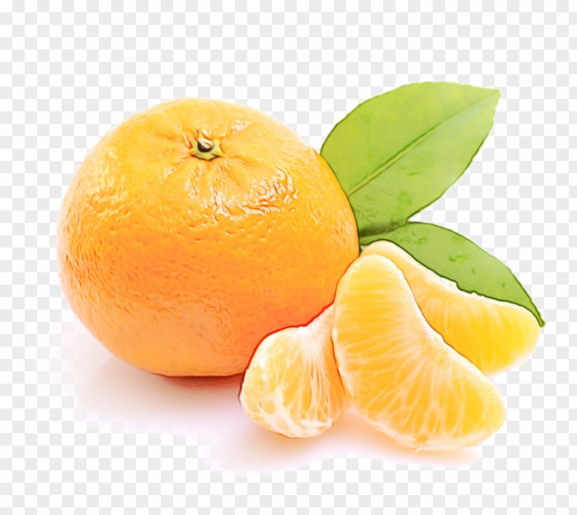 Pomelo Ingredient Lemon Background PNG