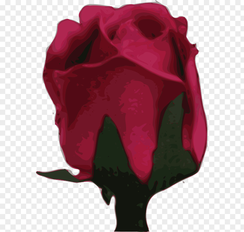 Rose Garden Roses Flower PNG