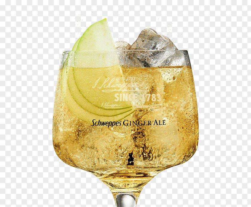 Ginger Ale Gin And Tonic Whiskey Cocktail Chivas Regal PNG