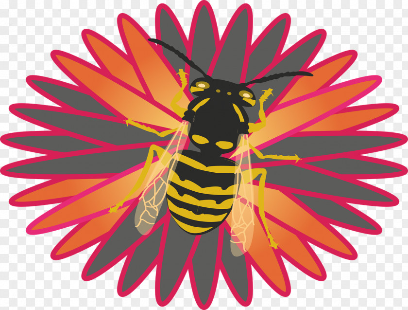 Honey Bees Eagle Coat Of Arms Heraldry Illustration PNG