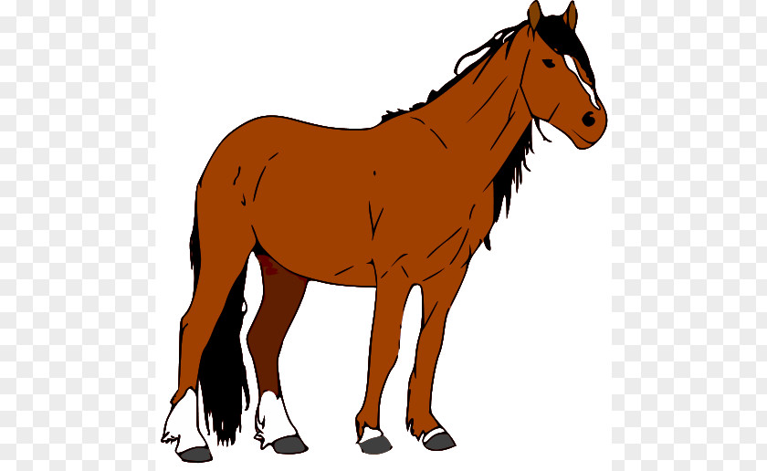 Horse Cliparts Mustang American Quarter Foal Clip Art PNG