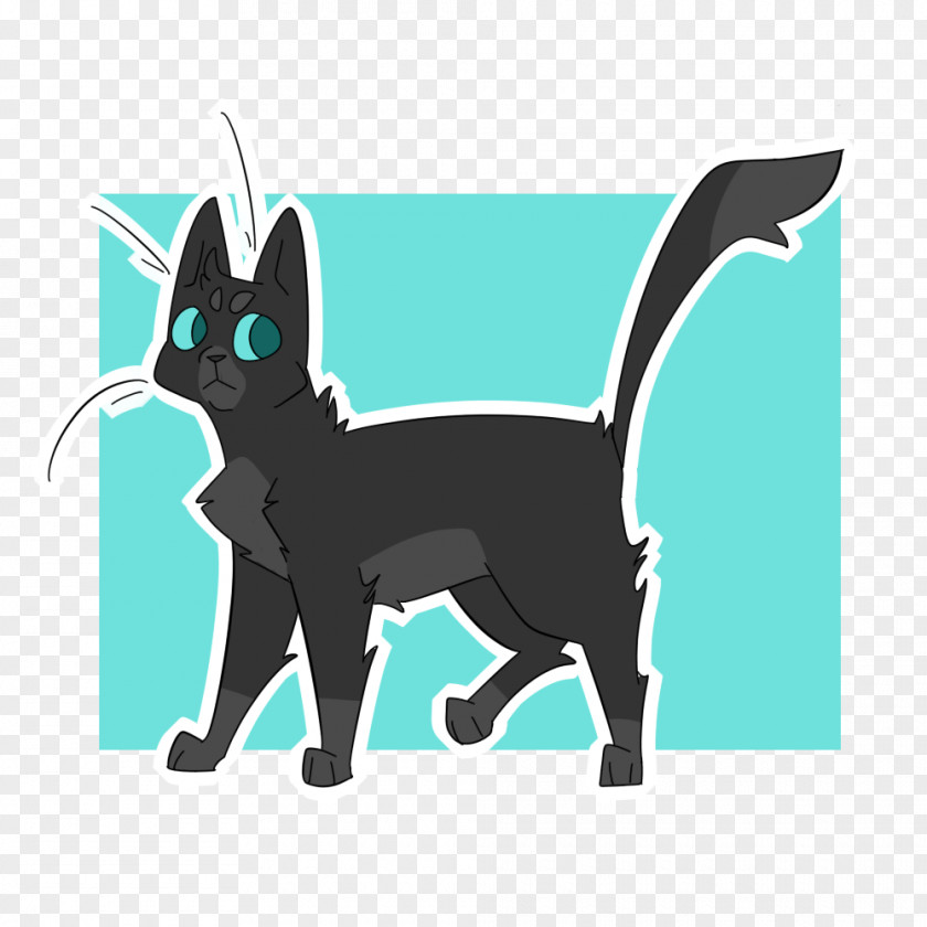 Kitten Whiskers Korat Te Rapelle Tu PNG