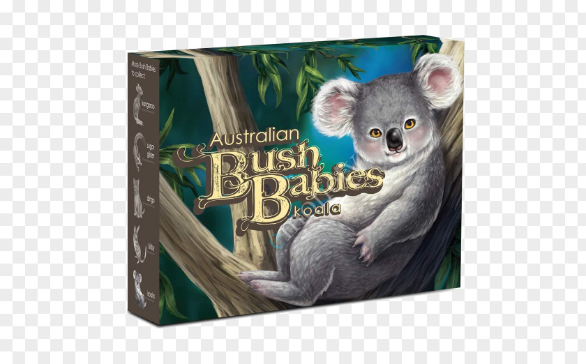 Koala Fauna Snout PNG