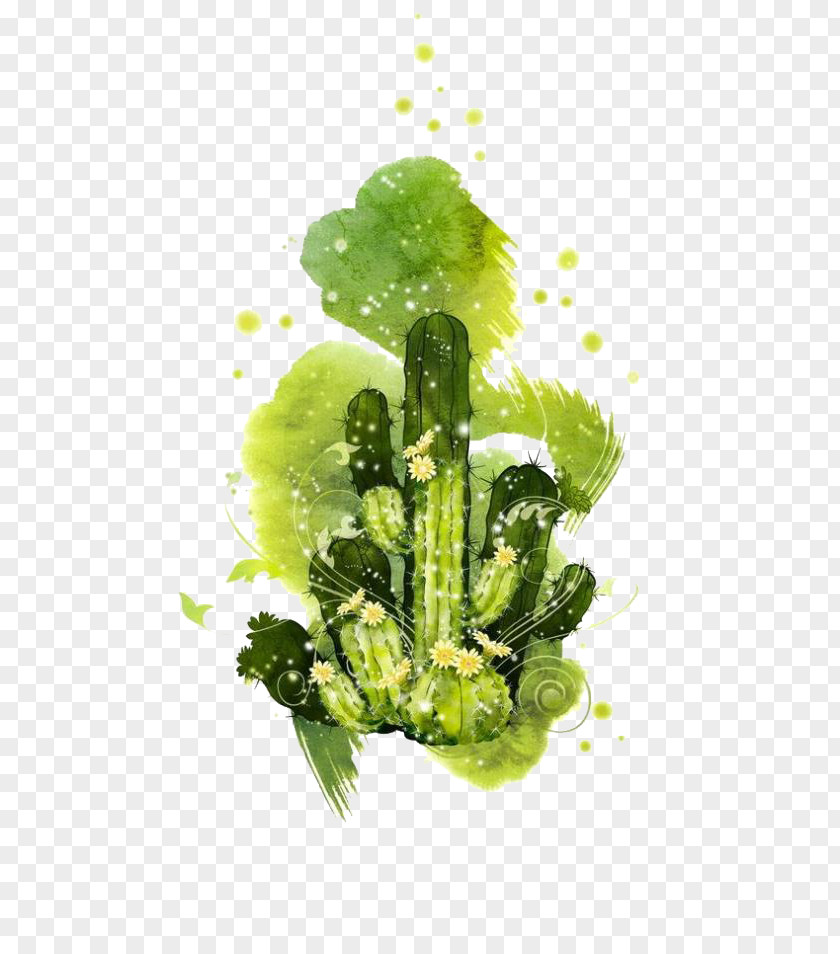Cactus Ink Painting Cactaceae Photography Illustration PNG