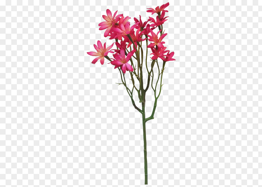 Flower Cut Flowers Floral Design Flowerpot Plant Stem PNG