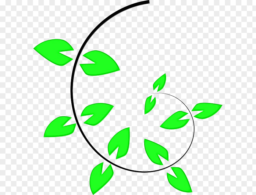 Flower Plant Line Art Stem Green Leaf PNG