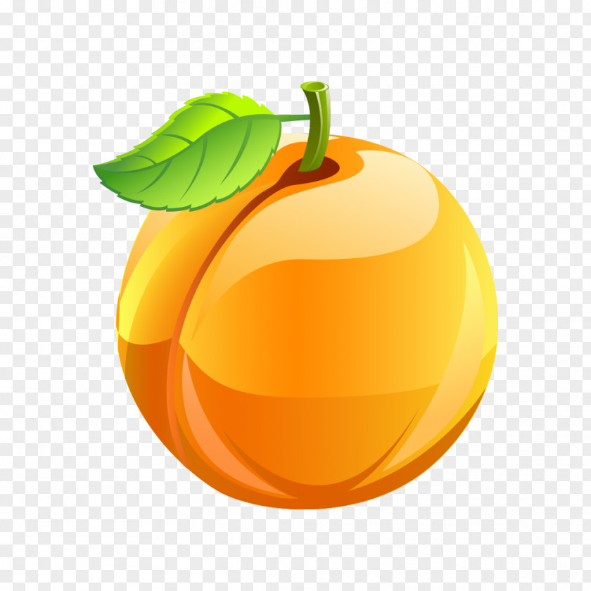 Grado How To Become Vegan Peach Fruit Apricot Ice Cream PNG