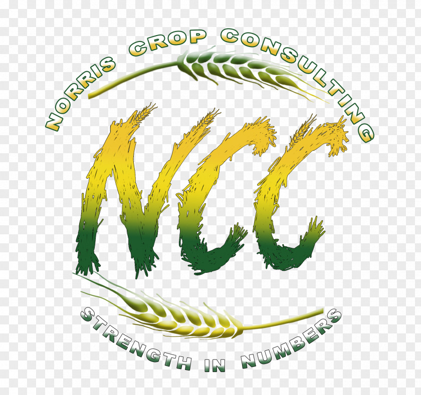 Marketing Consultant Crop Consulting Firm Farm PNG