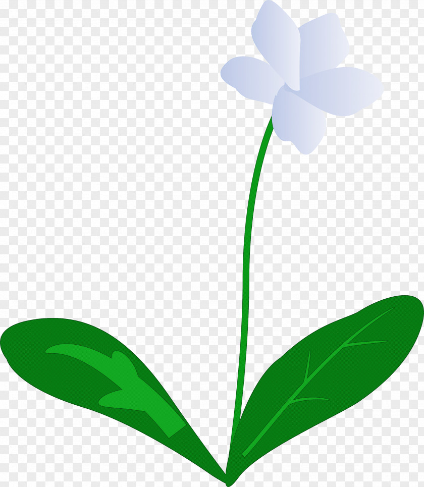 Violet Flower PNG