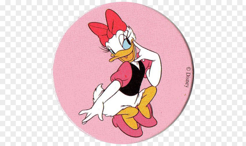 Donald Duck Daisy Character Cartoon PNG