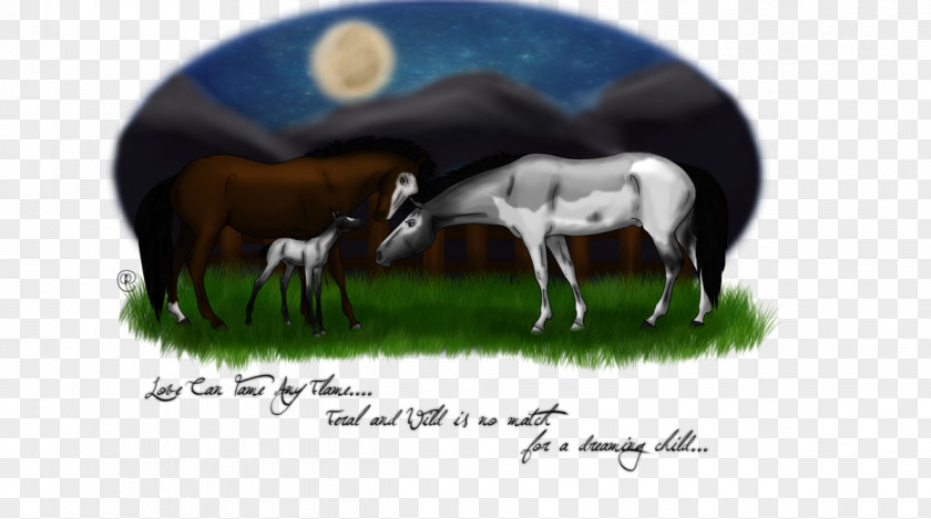 Late Night Horse Cattle Sheep Livestock Animal PNG