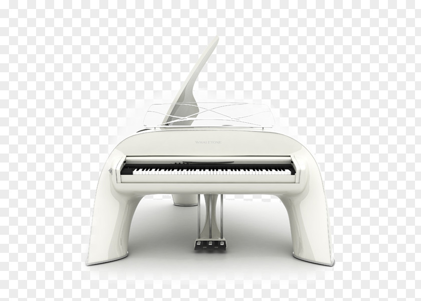 Piano Digital Grand Whaletone Cetacea PNG