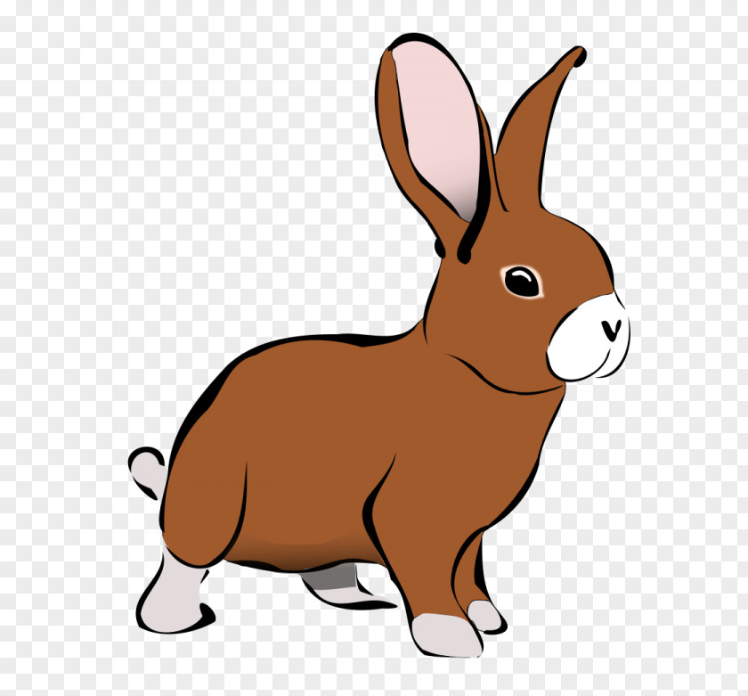 Rabbit Clip Art Hare Openclipart Free Content PNG