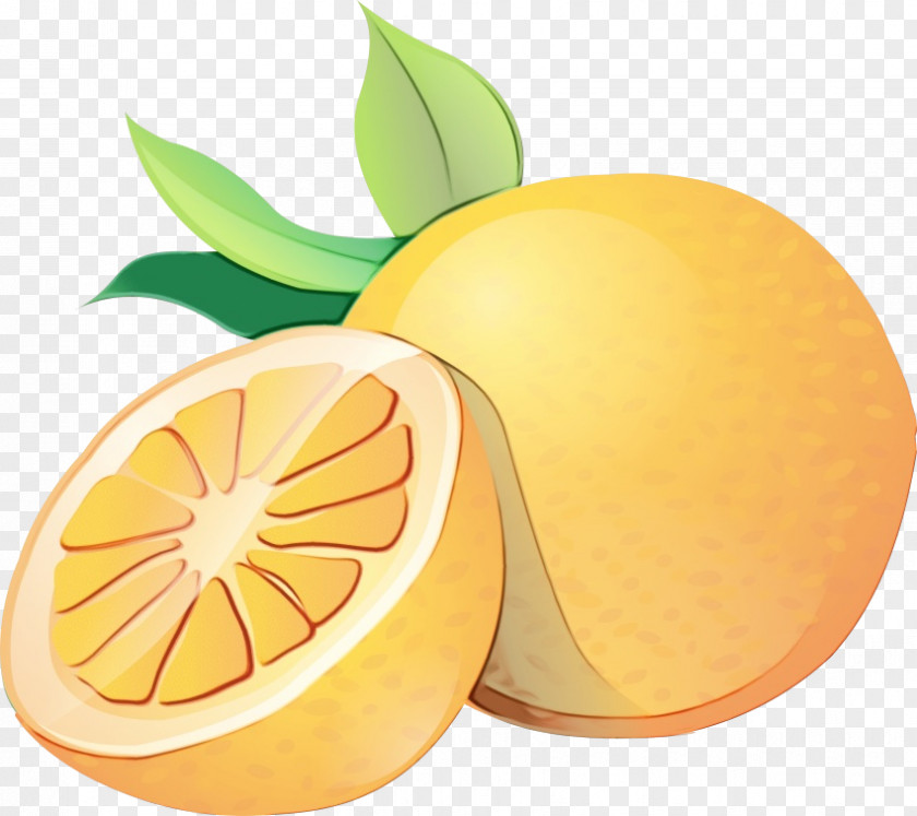 Tangerine Yellow Orange PNG