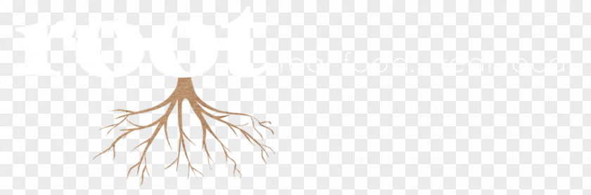 The Root Of Plant Tree Line Art Body Jewellery Font PNG