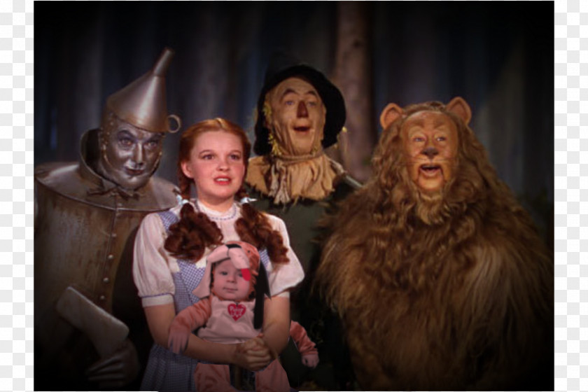 Youtube The Wonderful Wizard Of Oz Dorothy Gale Toto Tin Woodman Wicked Witch West PNG