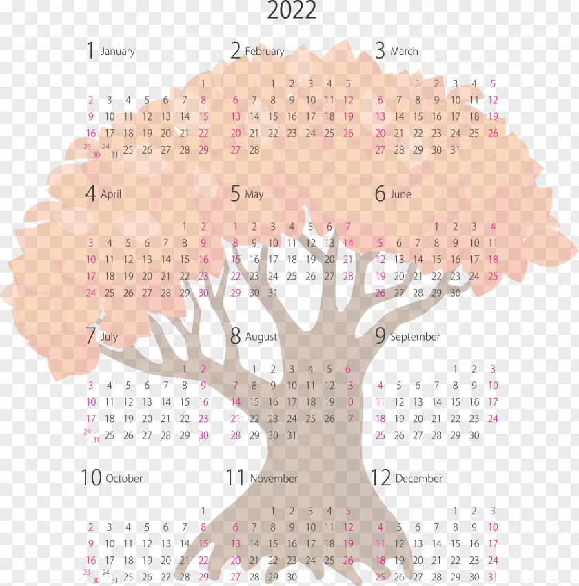 2022 Yearly Calendar Printable PNG