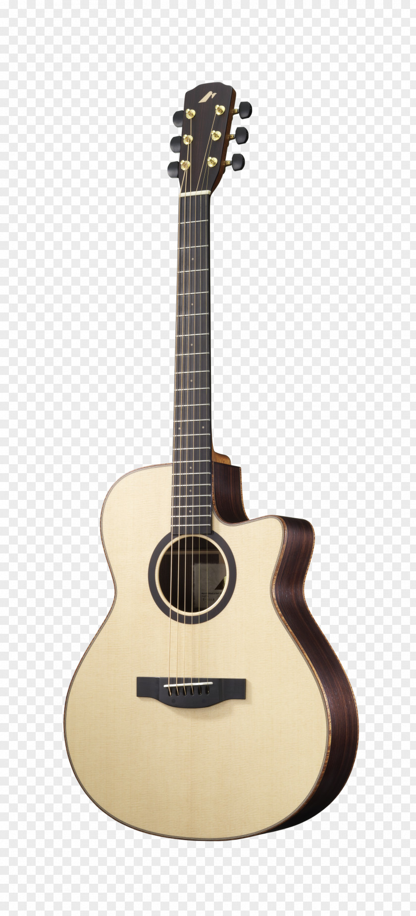 Acoustic Guitar Acoustic-electric Bracing Taylor Guitars PNG