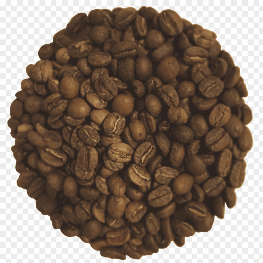 Antler Jamaican Blue Mountain Coffee Kona District, Hawaii Brown Bean PNG