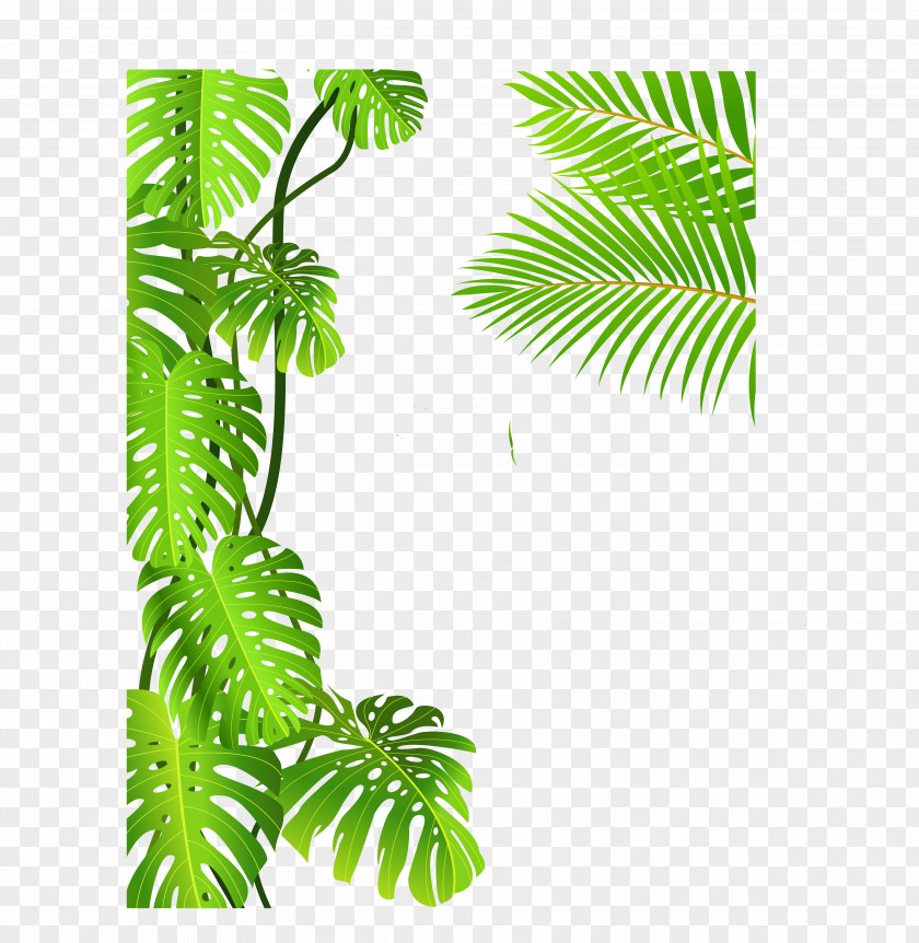 Forest Royalty-free Tropical Rainforest Drawing Clip Art PNG