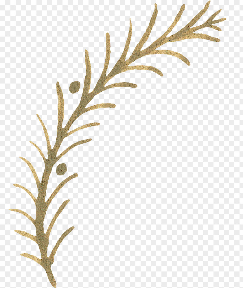 Hand-painted Plants Twig Pattern PNG
