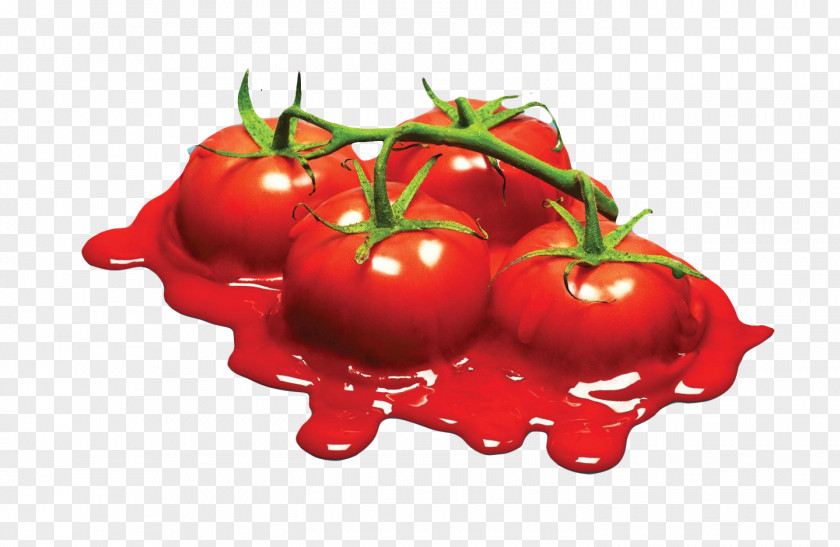 Melted Tomatoes Calgary Farmers Market Advertising Agency PNG