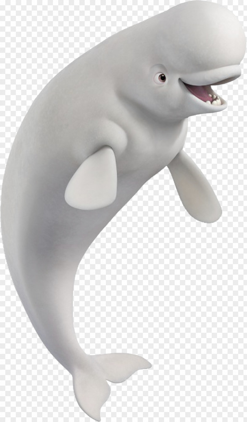 BALEIA Tucuxi Finding Nemo Pixar Beluga Whale Cetacea PNG