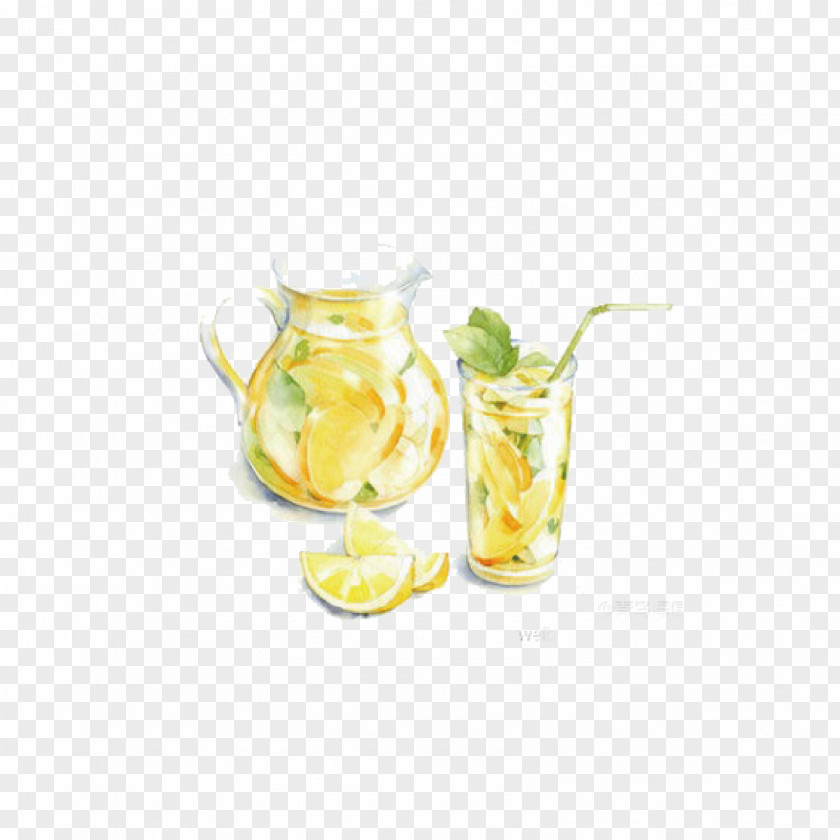 Lemon Juice Download Drink Drawing Illustration PNG
