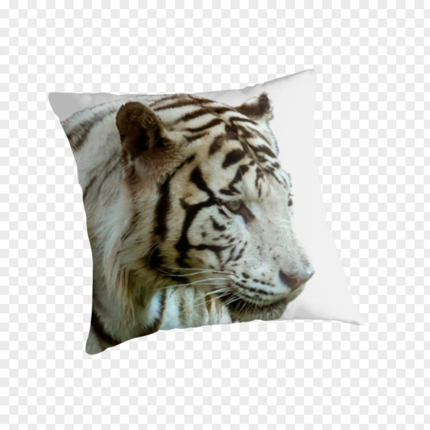 Tiger Throw Pillows Cushion Whiskers PNG