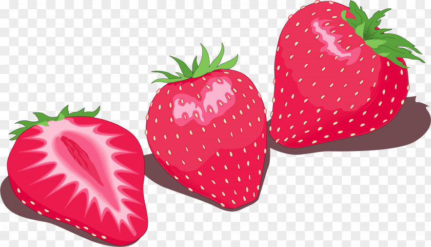 Vector Painted Strawberry Milkshake Euclidean PNG