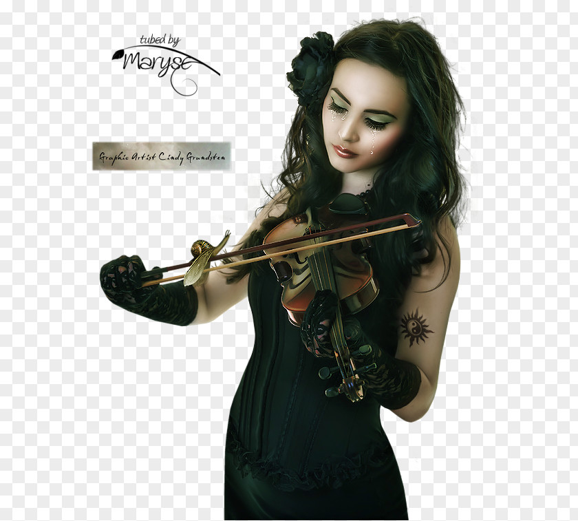 Violin Musical Instruments PNG