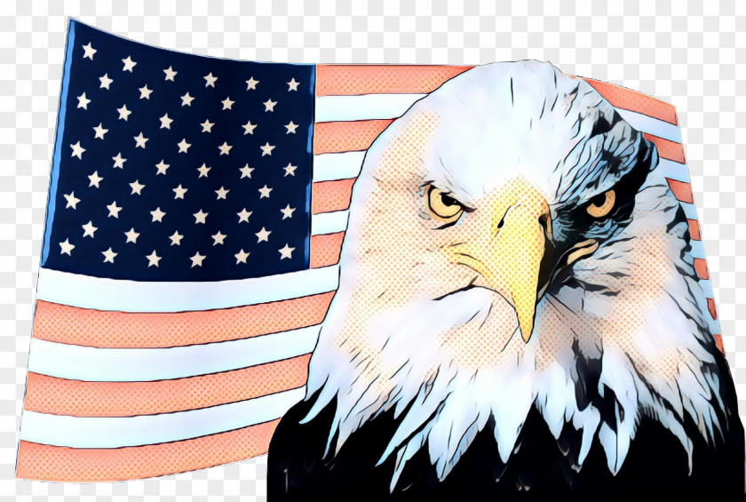 Wildlife Falconiformes Independence Day Background PNG