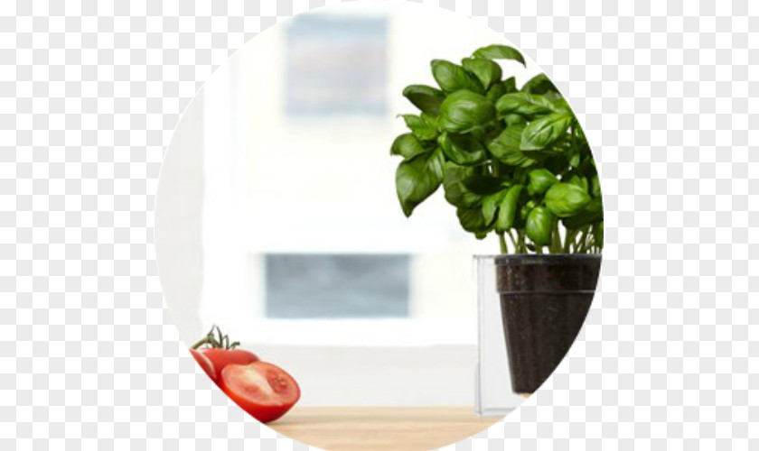 Balcony Gardening In Small Spaces Boskke Cube Sky Planter Recycled Flowerpot Plants Water PNG