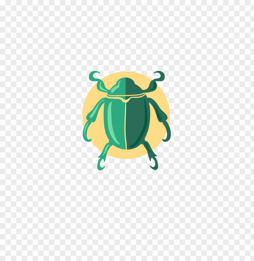 Beetle Volkswagen Euclidean Vector Dung PNG