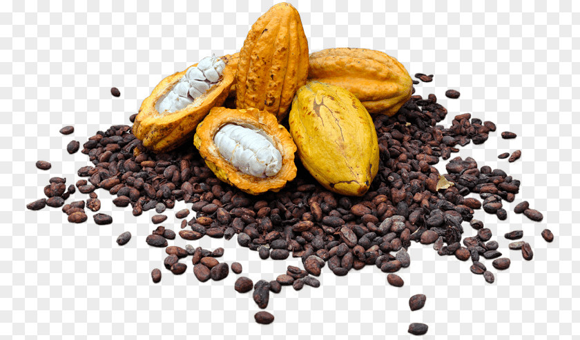 Chocolate Cocoa Bean Solids Raw Foodism PNG