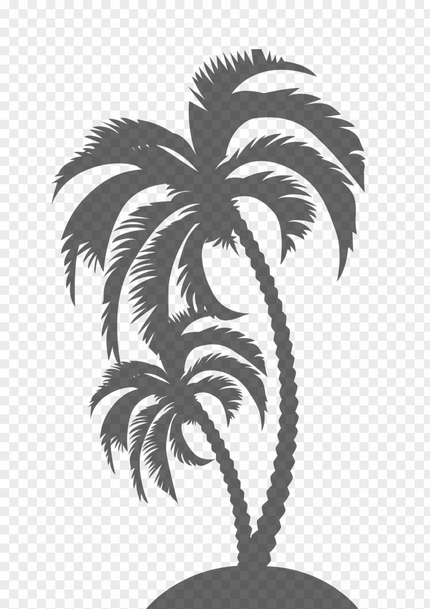 Coconut Water Arecaceae Tree PNG