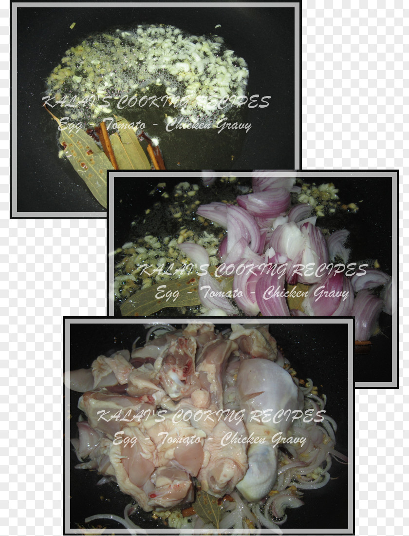 Design Floral Flower Bouquet Petal PNG