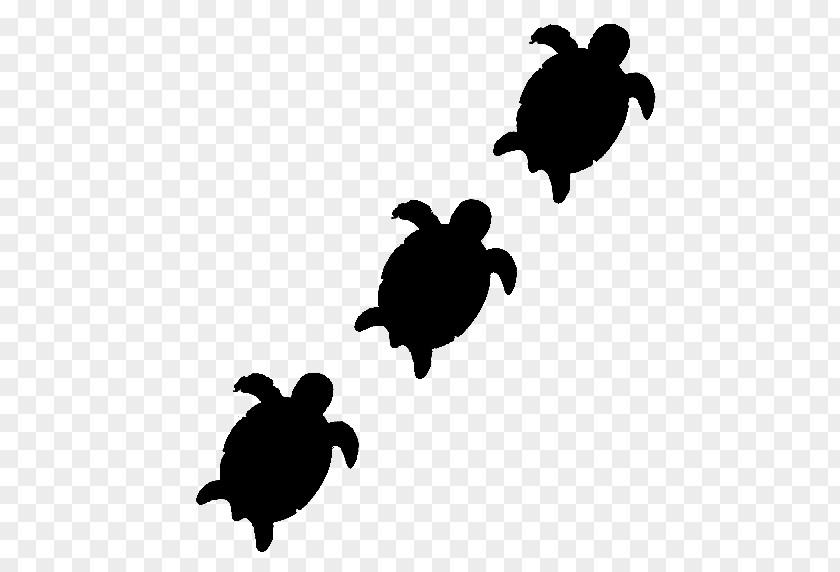 M Tortoise Sea Turtle Clip Art Black & White PNG