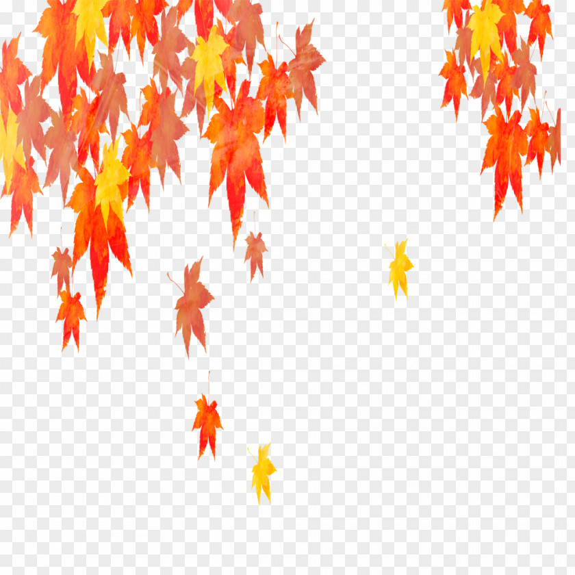 Maple Mountain Leaf Red Tree PNG